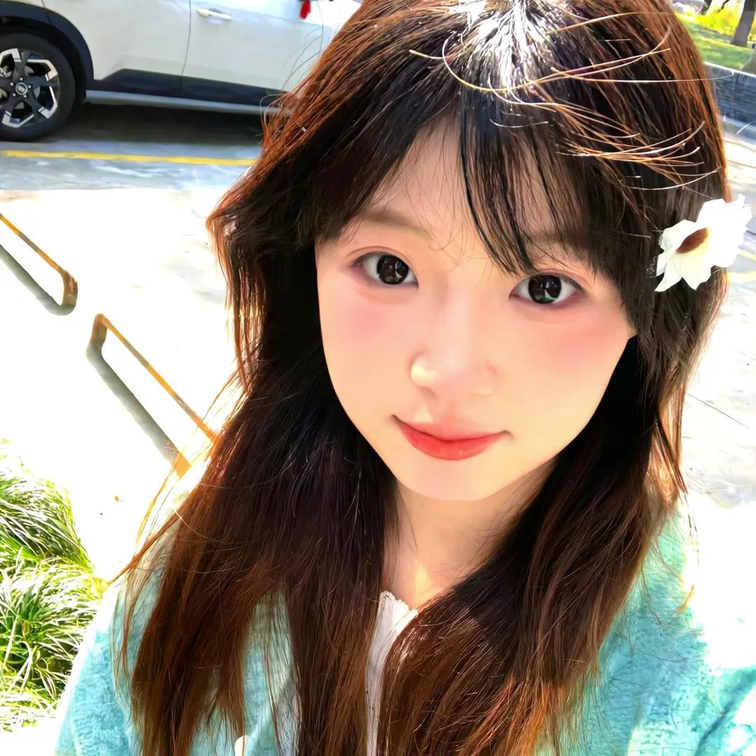 凤舞花飞